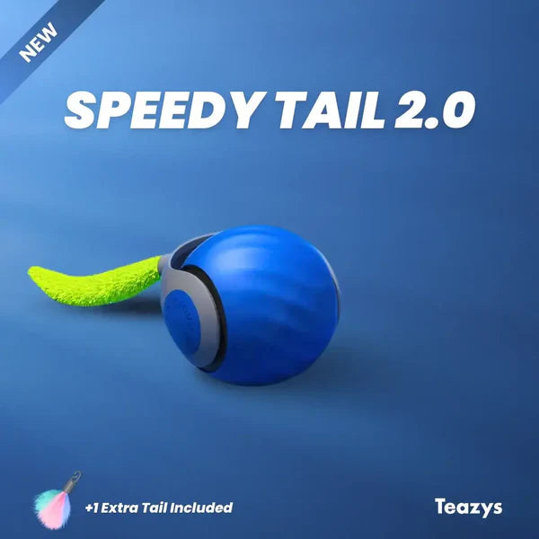Interactive Rechargeable Cat Toy Ball